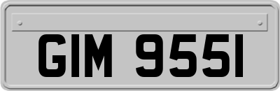 GIM9551