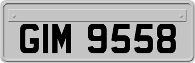 GIM9558