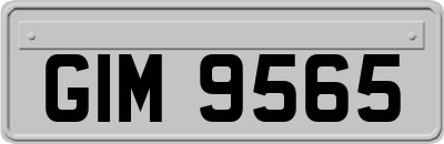 GIM9565