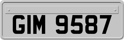GIM9587
