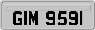 GIM9591
