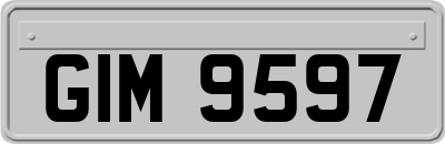 GIM9597