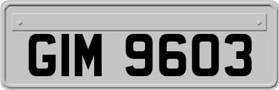 GIM9603