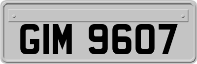 GIM9607