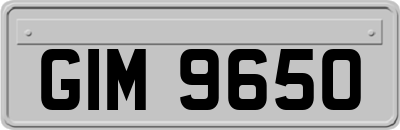 GIM9650