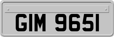 GIM9651