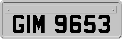 GIM9653