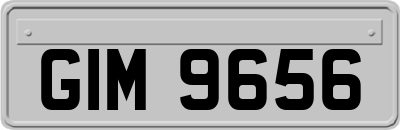 GIM9656