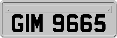 GIM9665