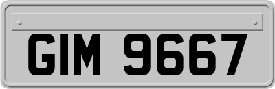 GIM9667