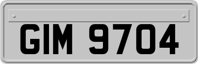 GIM9704