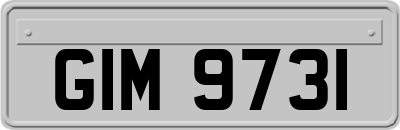 GIM9731