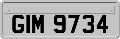 GIM9734