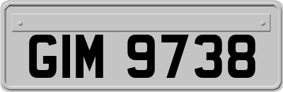 GIM9738