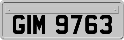 GIM9763