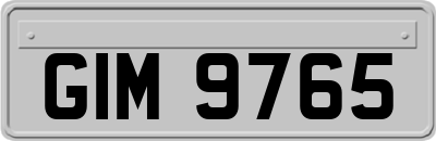 GIM9765