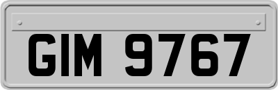GIM9767