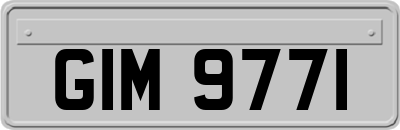 GIM9771