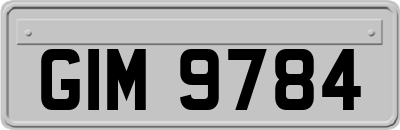 GIM9784