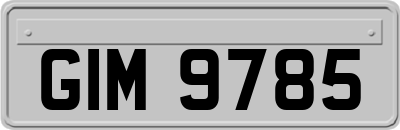 GIM9785