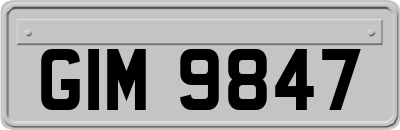 GIM9847