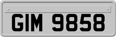 GIM9858