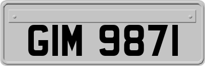 GIM9871