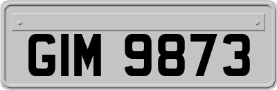 GIM9873