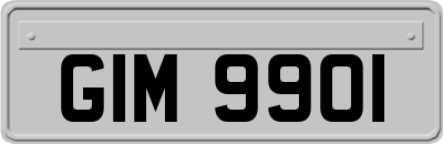 GIM9901