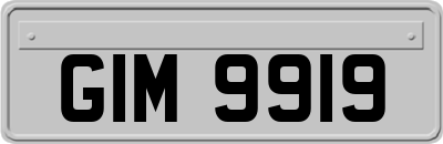 GIM9919