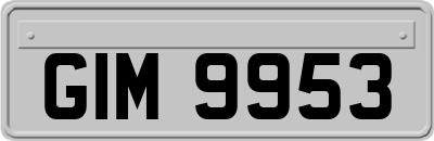 GIM9953