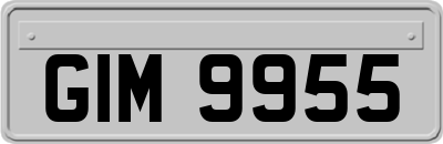 GIM9955