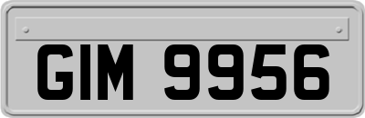 GIM9956