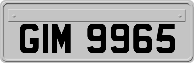 GIM9965