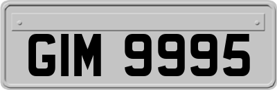 GIM9995
