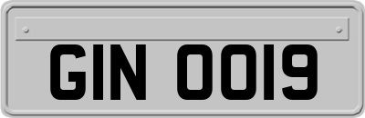 GIN0019