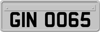 GIN0065