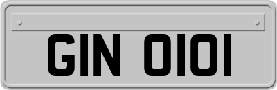 GIN0101