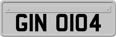GIN0104