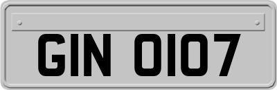 GIN0107