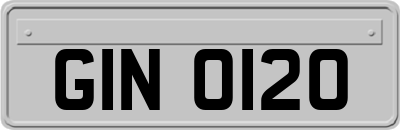 GIN0120