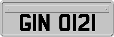 GIN0121