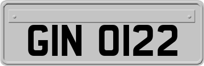 GIN0122
