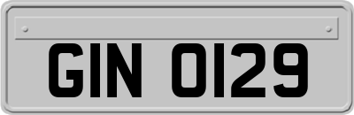GIN0129