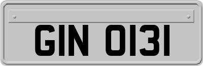 GIN0131