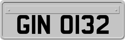 GIN0132