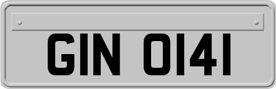 GIN0141