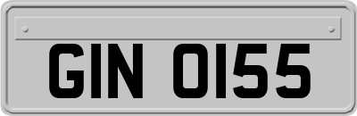 GIN0155