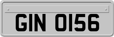 GIN0156