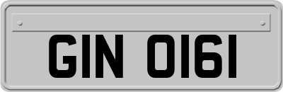 GIN0161